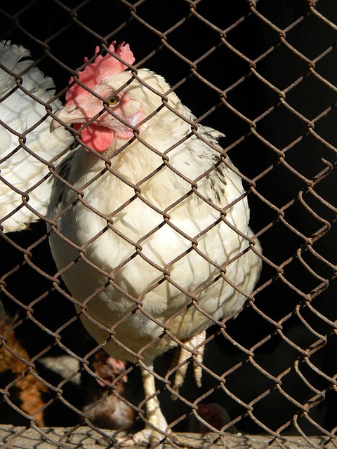 能减排的号 能减排的号