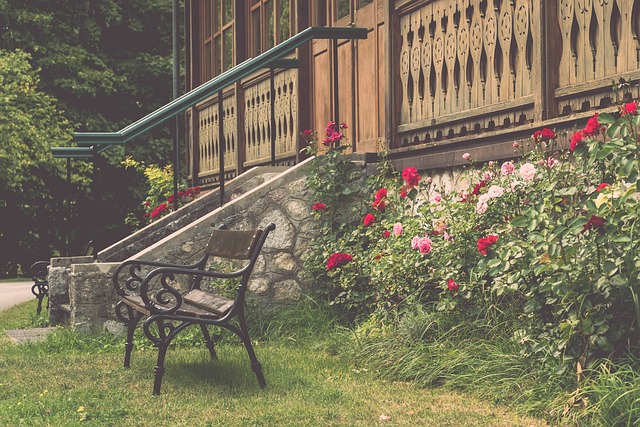 旅途将会越 旅途将会越