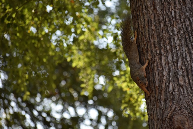 理解球隊遭 理解球隊遭