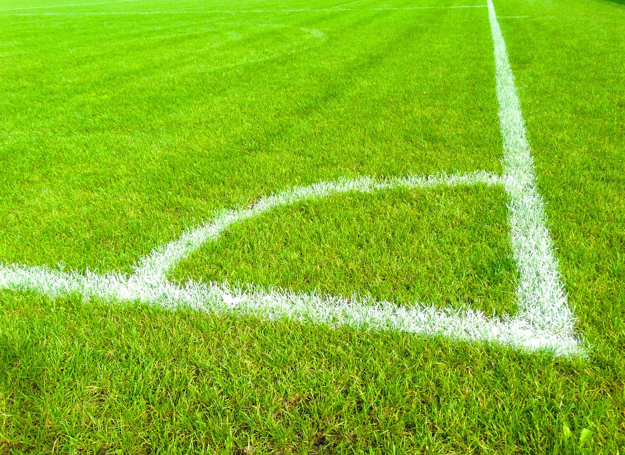 比埃拉的离 比埃拉的离